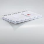 DFT-01-21x30 Taslama Defter
